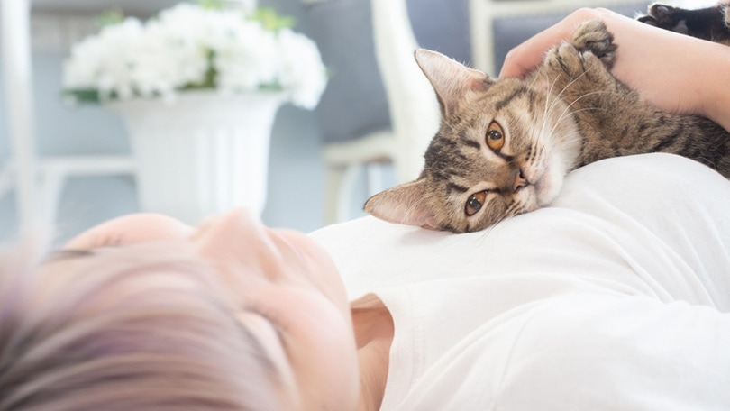 Why Does My Cat Stare at Me While I Sleep? 7 Vet-Verified Reasons