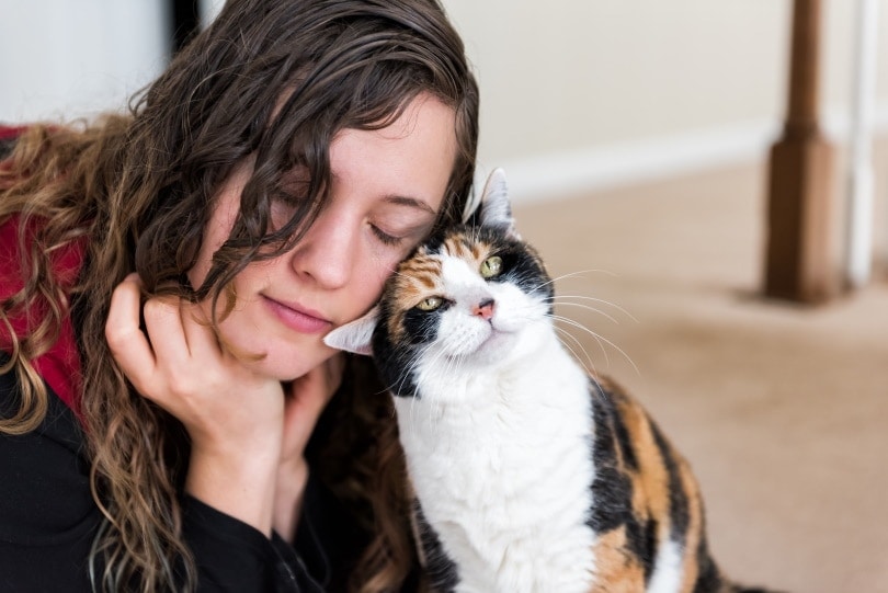 Why Do Cats Headbutt You? 3 Vet-Verified Reasons