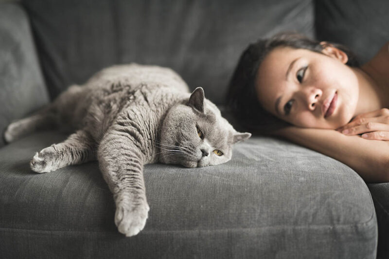 Why Won't My Cat Cuddle With Me Anymore? 6 Likely Reasons