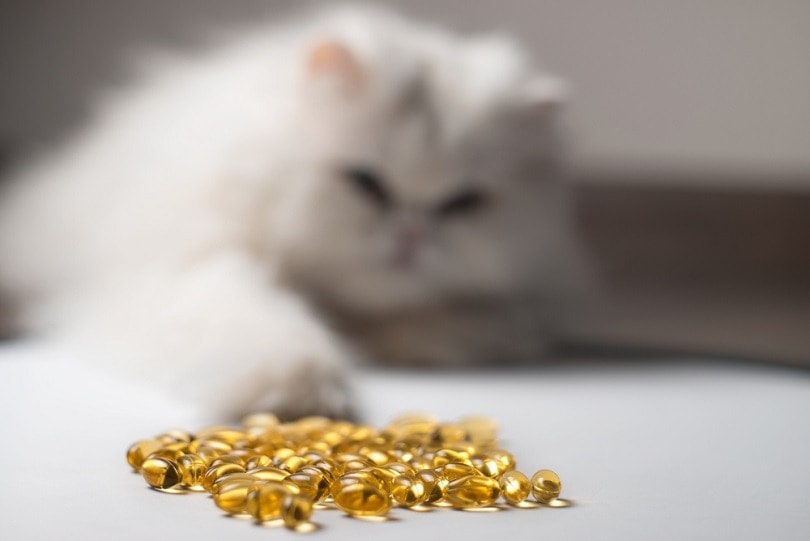 4 Health Benefits of Fish Oil for Cats: Science-Based Facts & FAQ