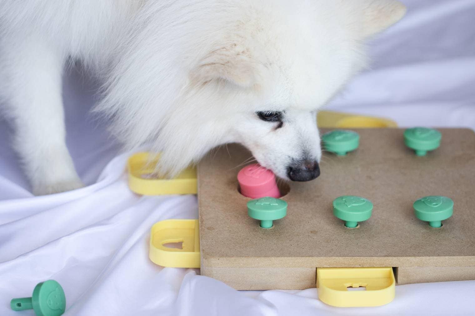 9 Best Dog Puzzle Toys – 2026 Reviews & Top Picks