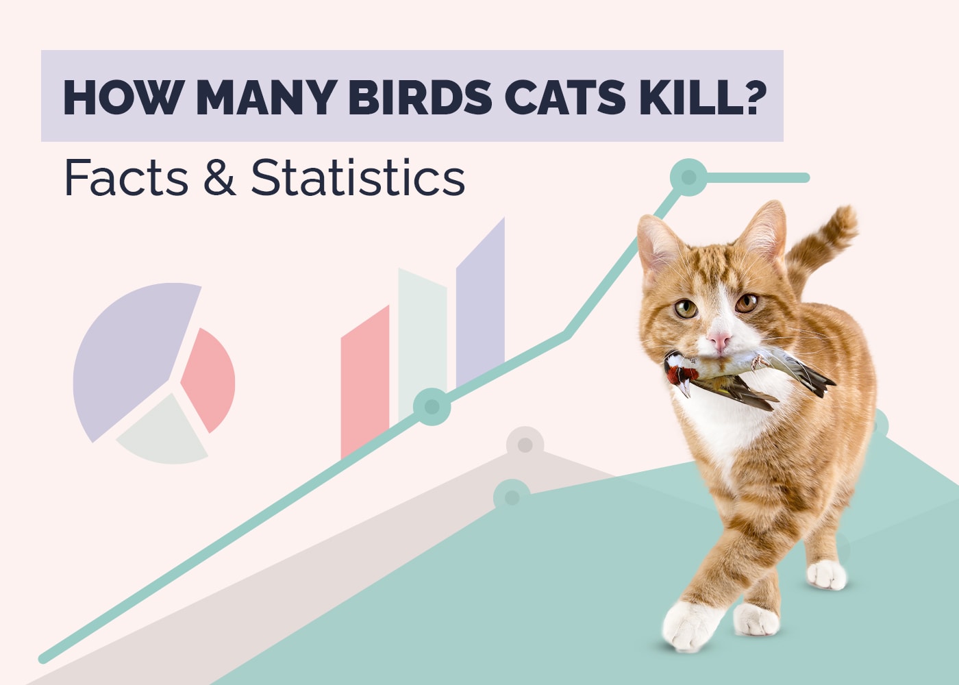 How Many Birds Do Cats Kill? Statistics & Facts (2026 Update)