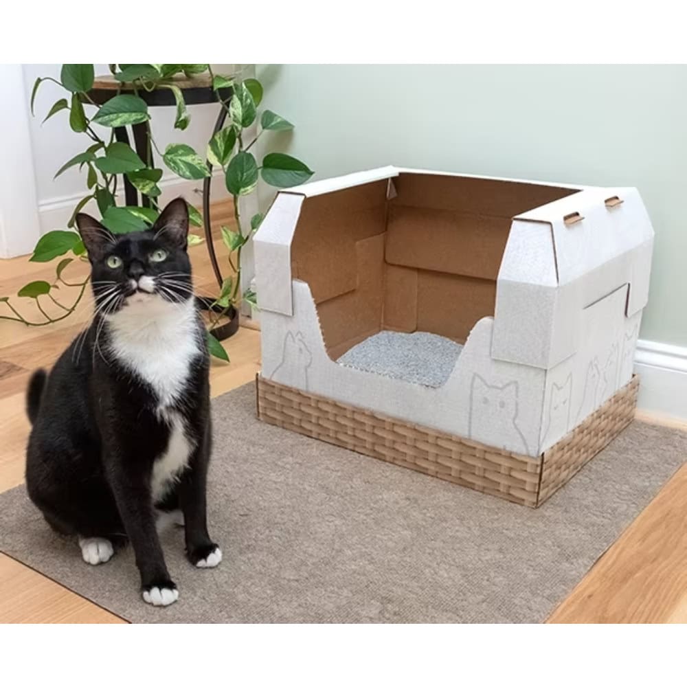 Kitty Poo Club