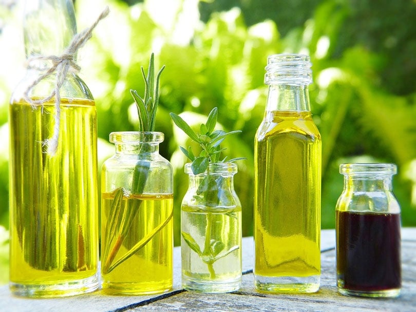Will Essential Oils Calm Dogs? Vet-Reviewed Risks, Toxicity Facts & Alternatives