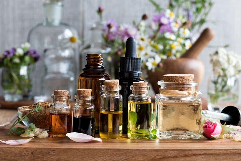 Are Essential Oils Safe for Dogs to Take? Vet Verified Facts & Info