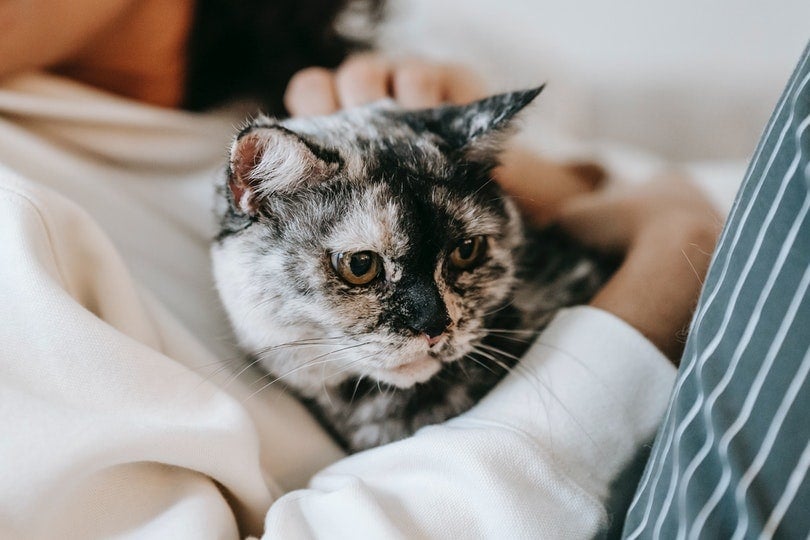 woman cuddling with her cat