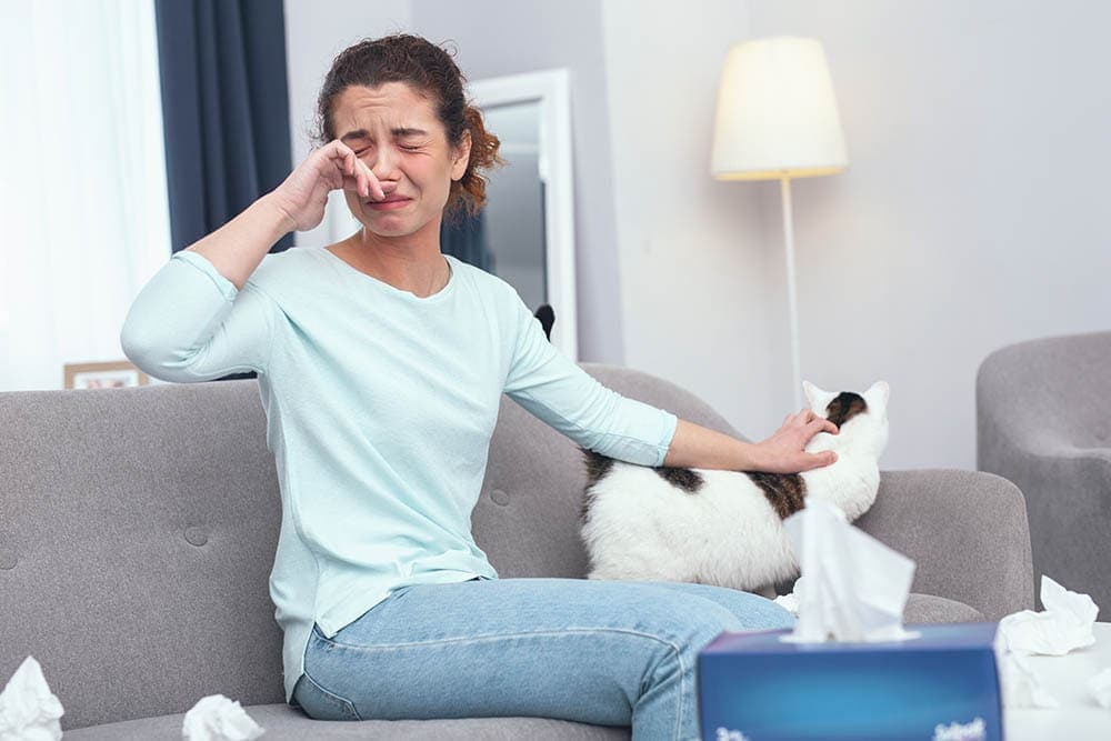 Can You Build Up an Immunity to Cat Allergies? What You Need to Know