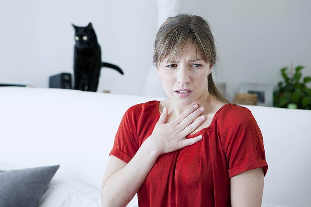 Can You Be Allergic to Some Cats but Not Others? Facts & Care Tips