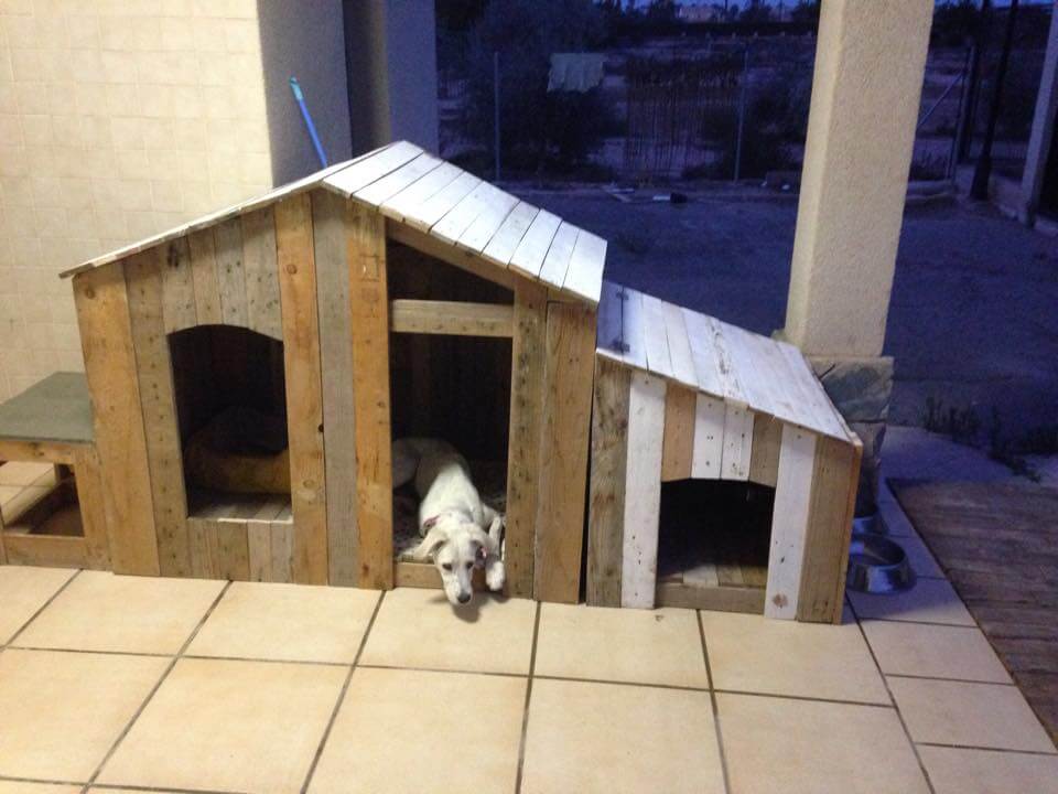 DIY Tutorial: How to Build a Pallet Doghouse From Easy Pallet Ideas