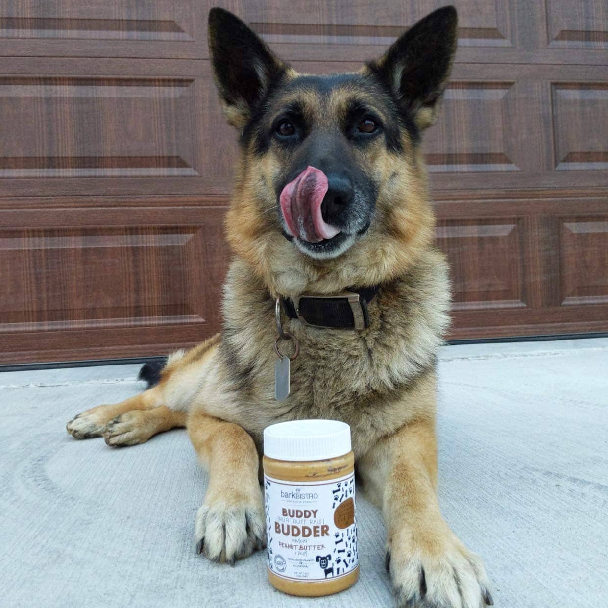 5 Best Peanut Butters for Dogs in 2026 - Reviews & Top Picks