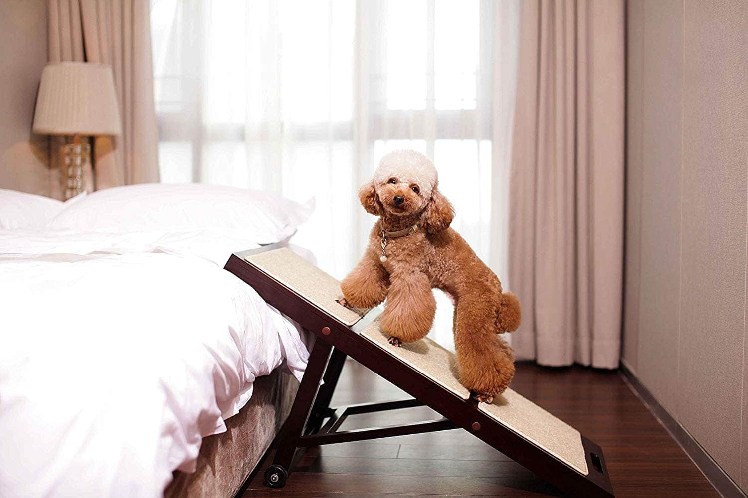7 Best Dog Ramps for Beds in 2026 - Reviews & Top Picks