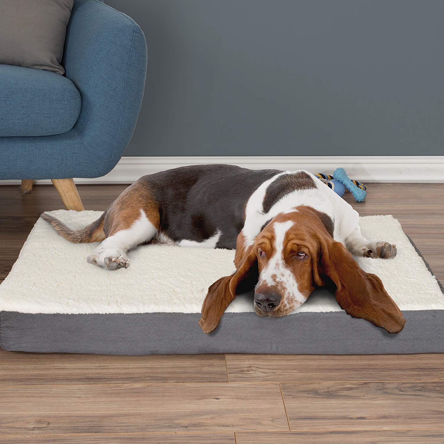 8 Best Orthopedic Dog Beds 2026 - Reviews & Top Picks