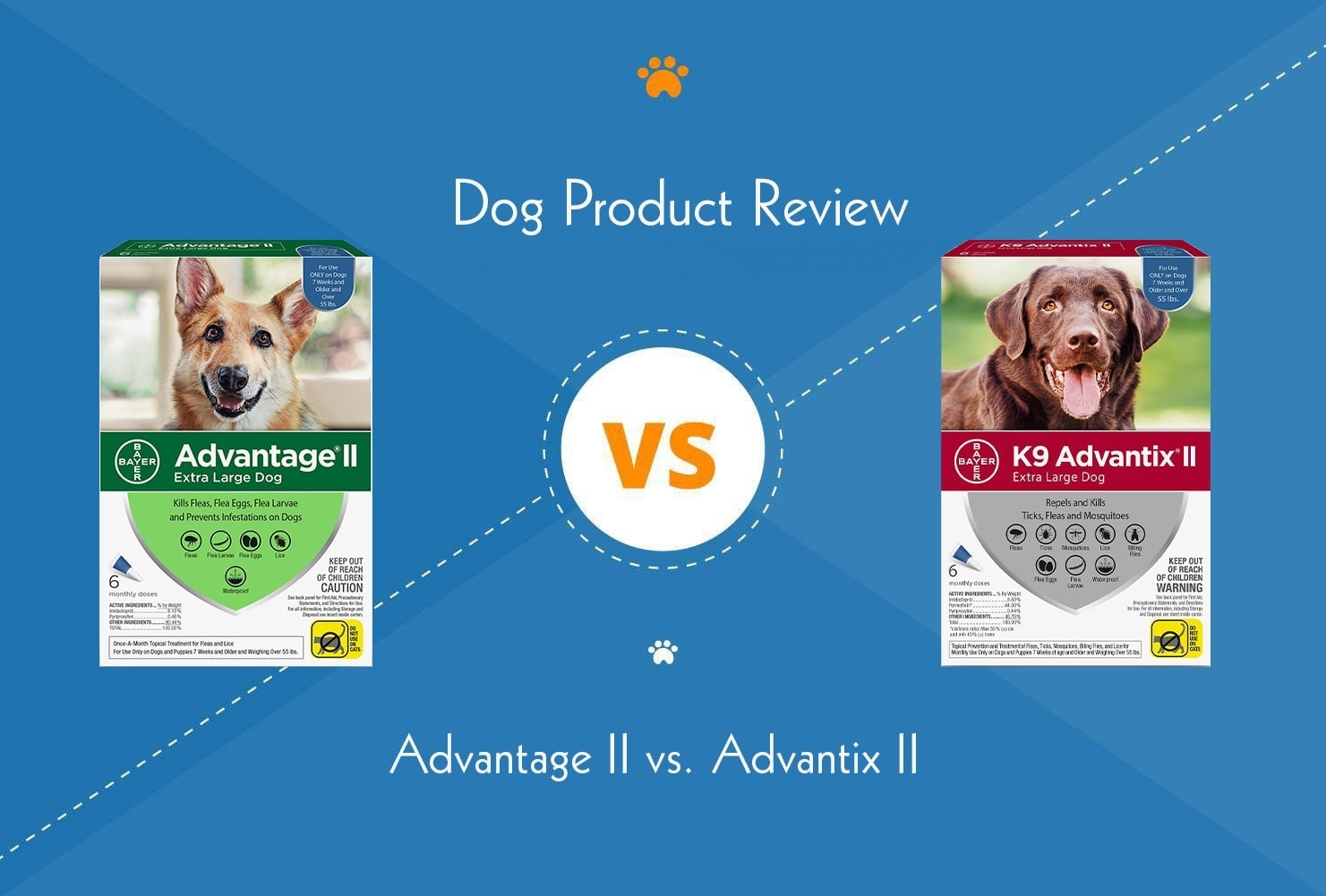 Advantage II vs. Advantix II: We Asked a Vet (2026 Update)
