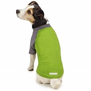 8 Best Mosquito Repellents for Dogs in 2026 - Reviews & Top Picks