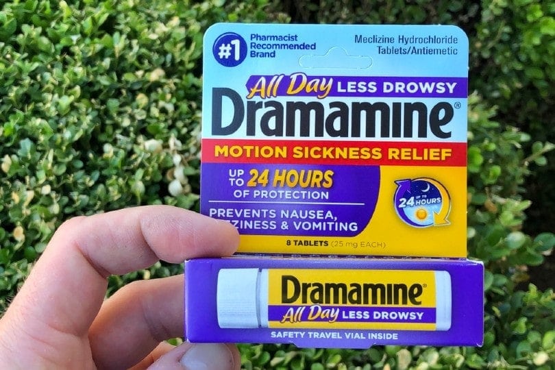 Dramamine for Dogs: Uses, Dosage, Side Effects (Vet Answers)
