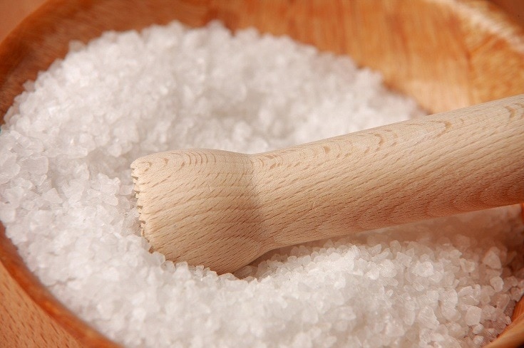 Do Cats Like Salt? Vet Reviewed Facts