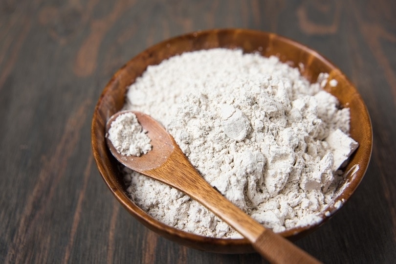 Does Diatomaceous Earth Kill Fleas? Vet-Approved Facts & FAQs