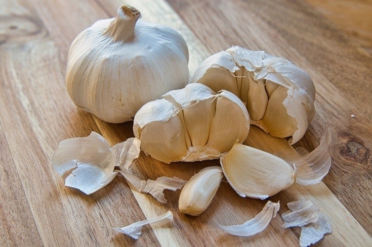 Does Garlic Kill Fleas? Vet Approved Tips On Safety & Effectiveness
