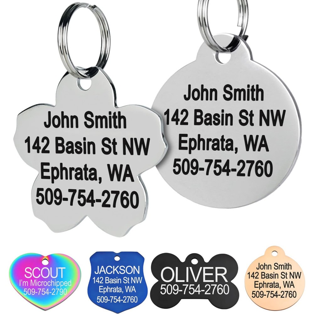 GoTags Stainless Steel Pet ID Tags