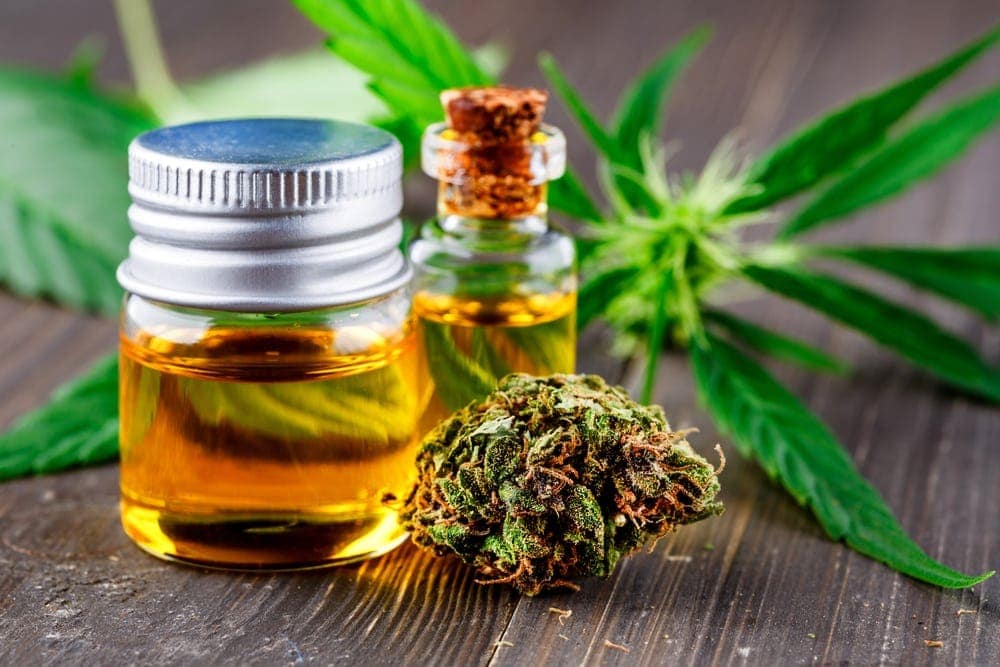 9 Best CBD Treats for Dogs With Arthritis: 2026 Reviews & Top Picks