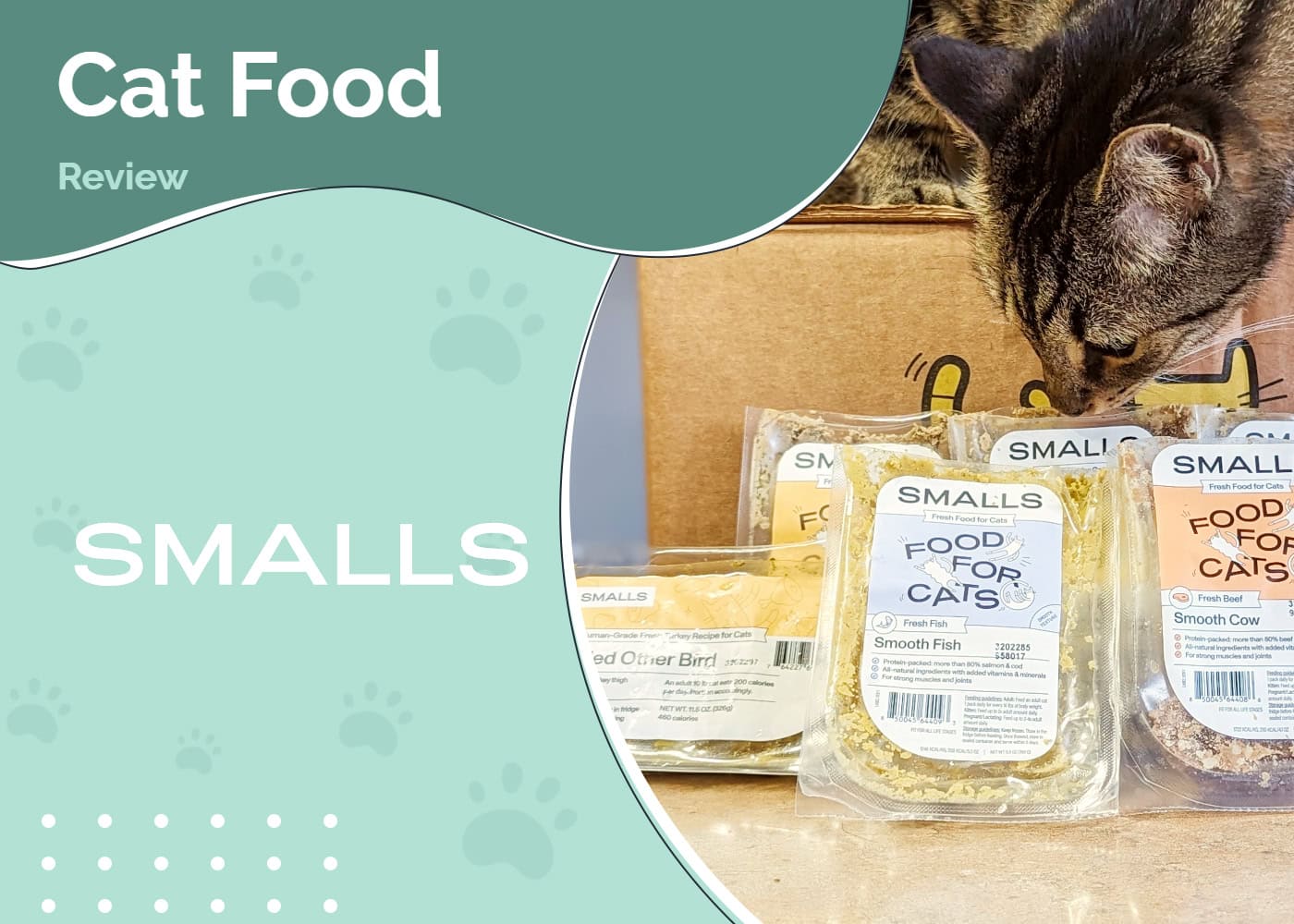 Smalls Cat Food Review 2026: Vet-Approved Pros, Cons, & Verdict