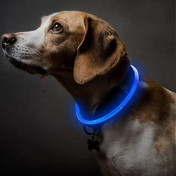 7 Best LED Dog Collars of 2026 - Reviews, Top Picks & Comparison