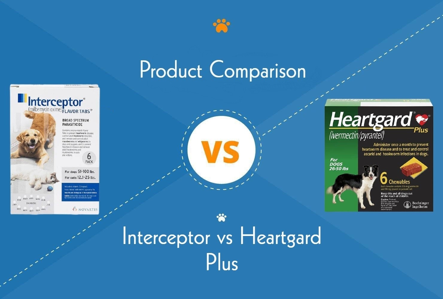 Interceptor vs Heartgard Plus For Dogs: Key Differences (Vet Answer)