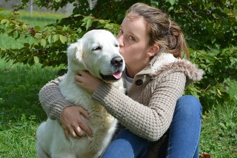 Do Dogs Like Kisses? How to Show Affection to Your Pet