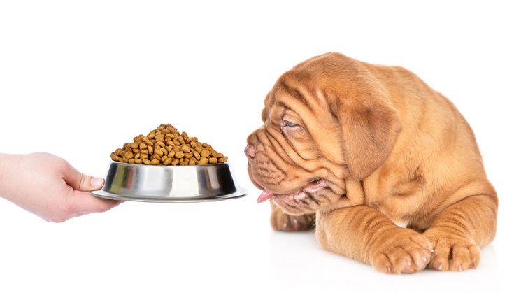 9 Best Food for Mastiff Puppies 2026 - Reviews & Top Picks