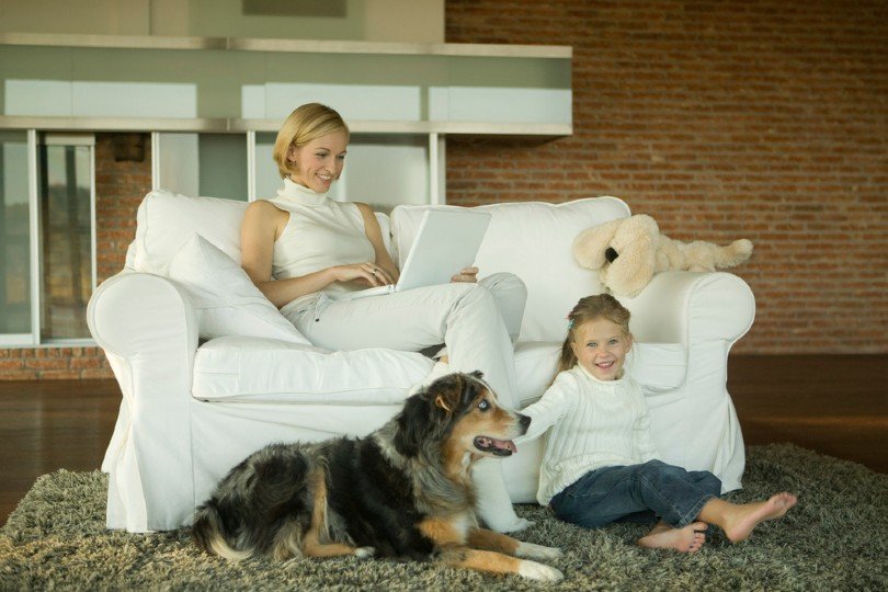 Are Australian Shepherds Good Family Dogs? Pros & Cons