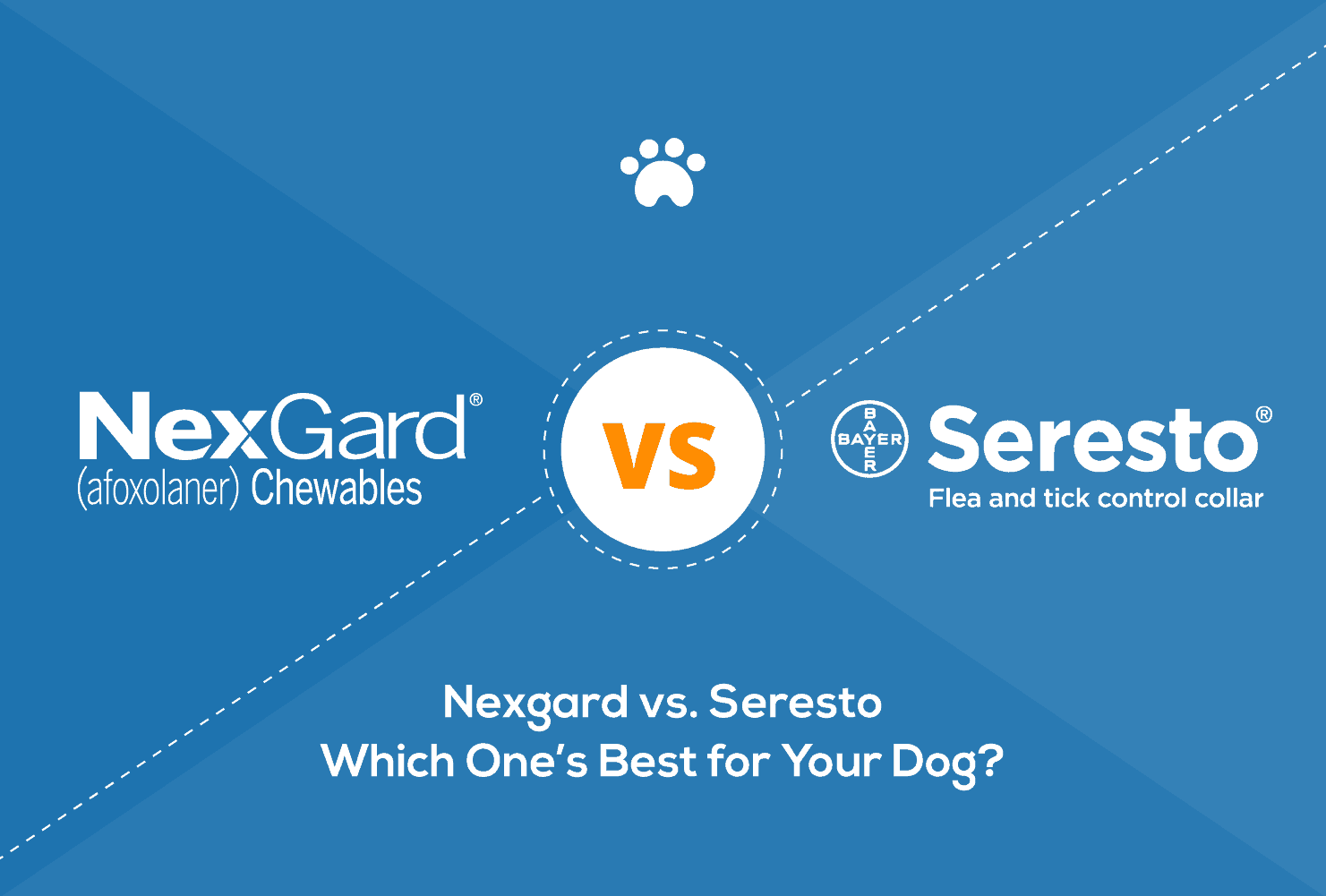 Nexgard vs Seresto 2026: Which is Best for Fleas & Ticks?