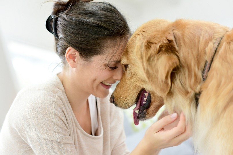 15 Great Dog Breeds for Single Women Living Alone (With Info & Pictures)