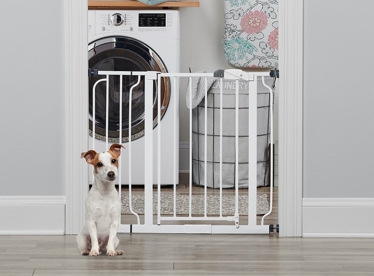 25 DIY Dog Gate Plans You Can Build Today (With Pictures)