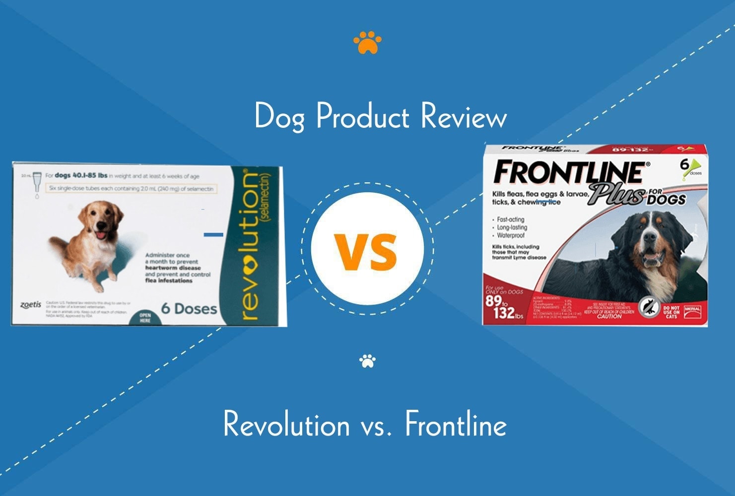 Revolution vs. Frontline Plus: We Asked a Vet (2026 Update)