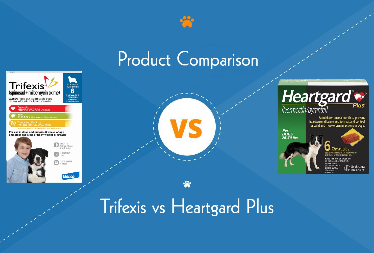 Trifexis vs. Heartgard Plus: We Asked a Vet (2026 Update)