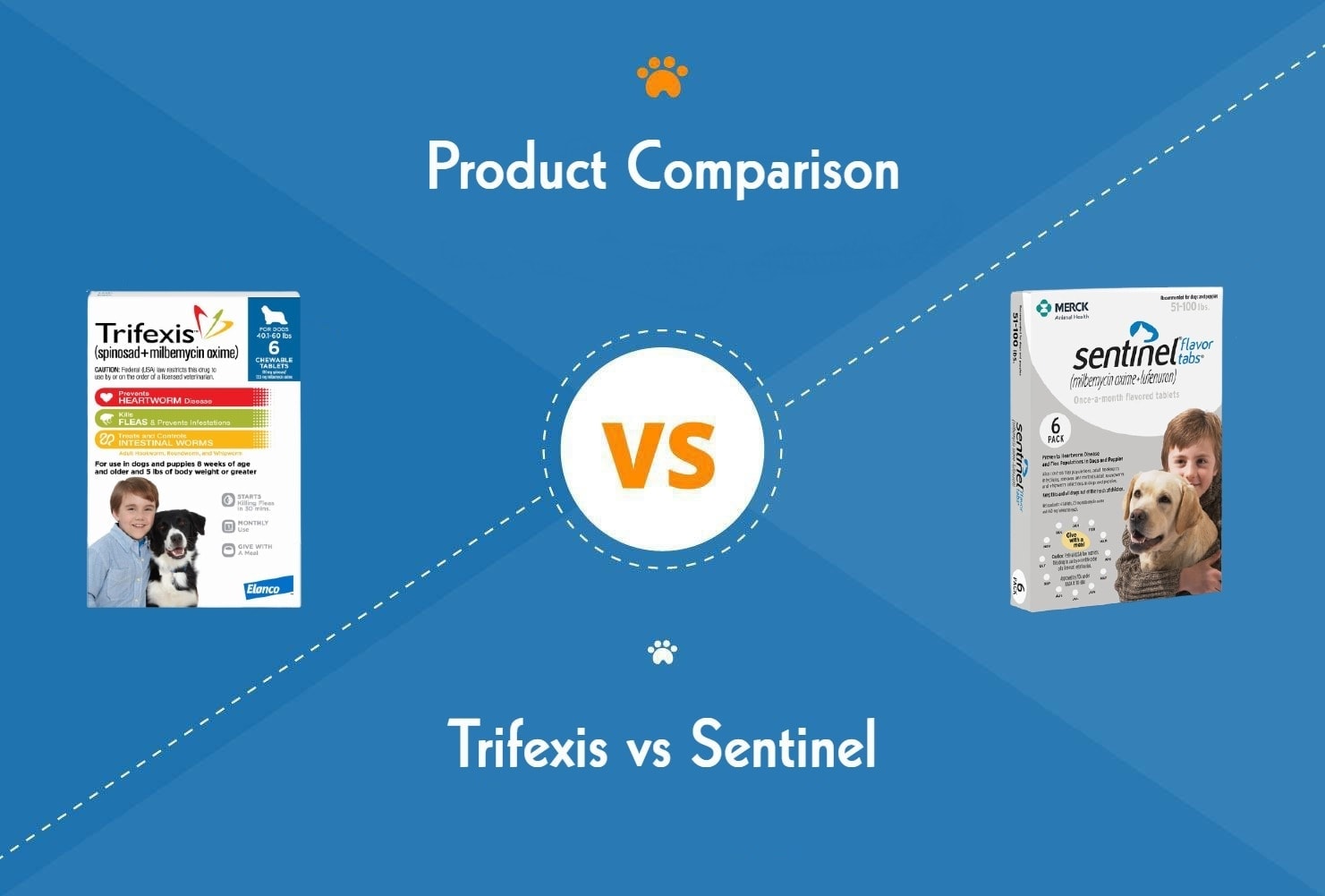 Trifexis vs Sentinel: Key Differences (Vet Answer)
