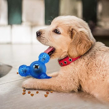 9 Best Interactive Dog Toys of 2026 - Reviews & Top Picks