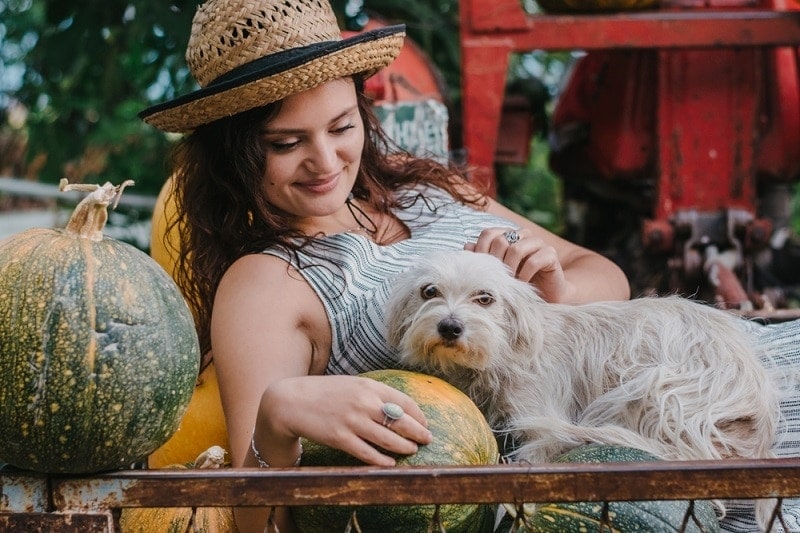 Why Does My Dog Keep Laying on My Stomach? Am I Pregnant? Possible Reasons & FAQ