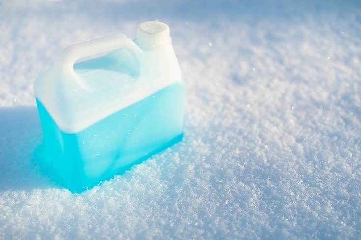 My Dog Drank Antifreeze! Our Vet Explains What To Do