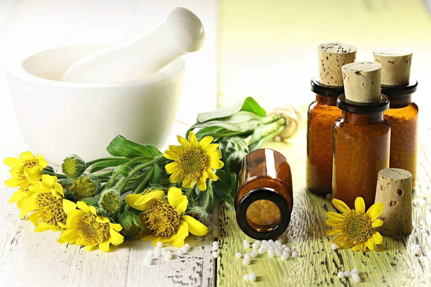 Arnica for Dogs: Our Vet Explains the Uses, Benefits & FAQ