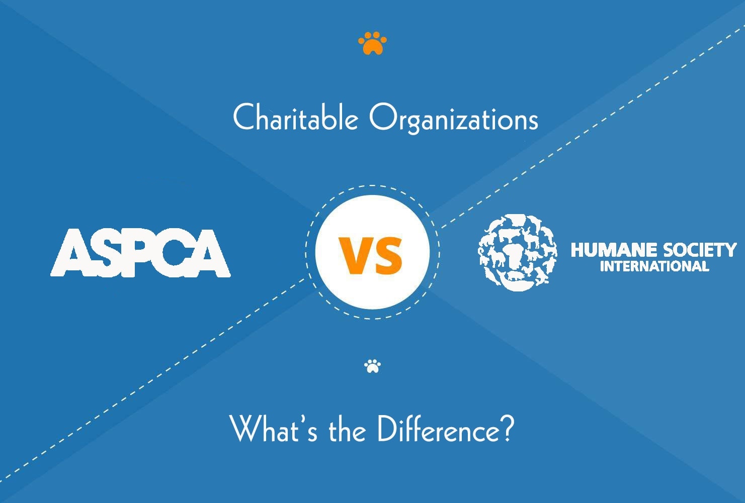 ASPCA vs. Humane Society: What’s the Difference?