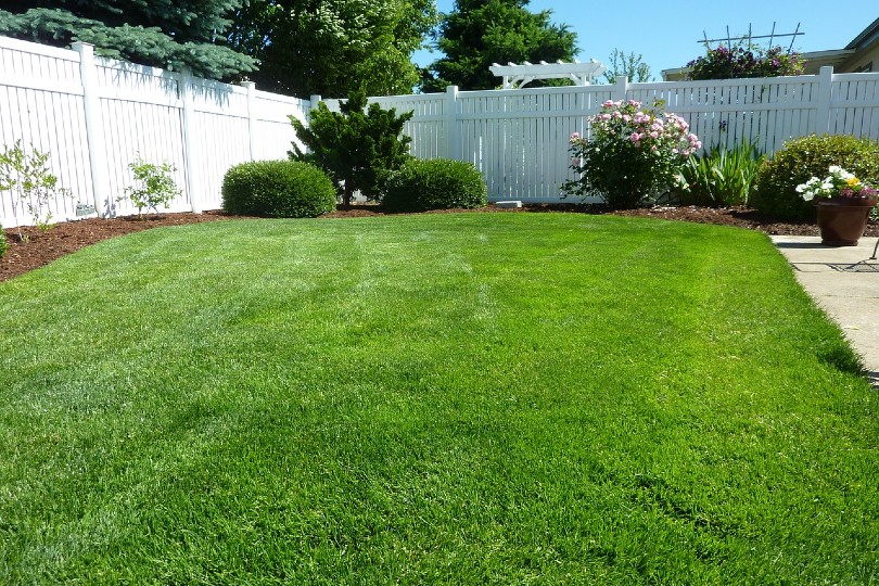 back yard fence