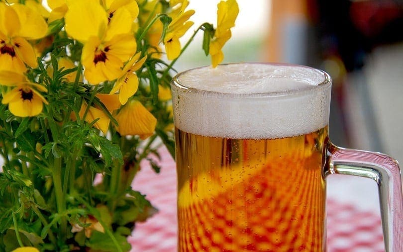 My Dog Drank Alcohol! Here’s What to Do (Vet Answer)