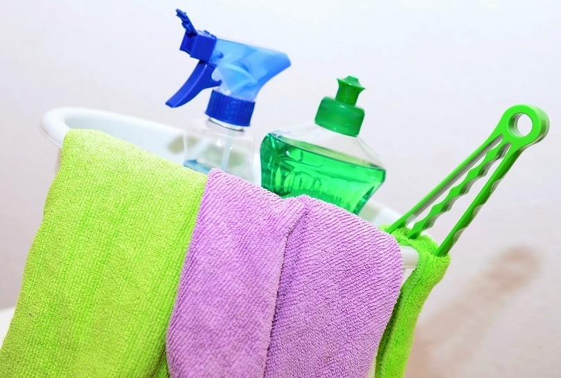 My Dog Drank Bleach! Our Vet Explains What To Do