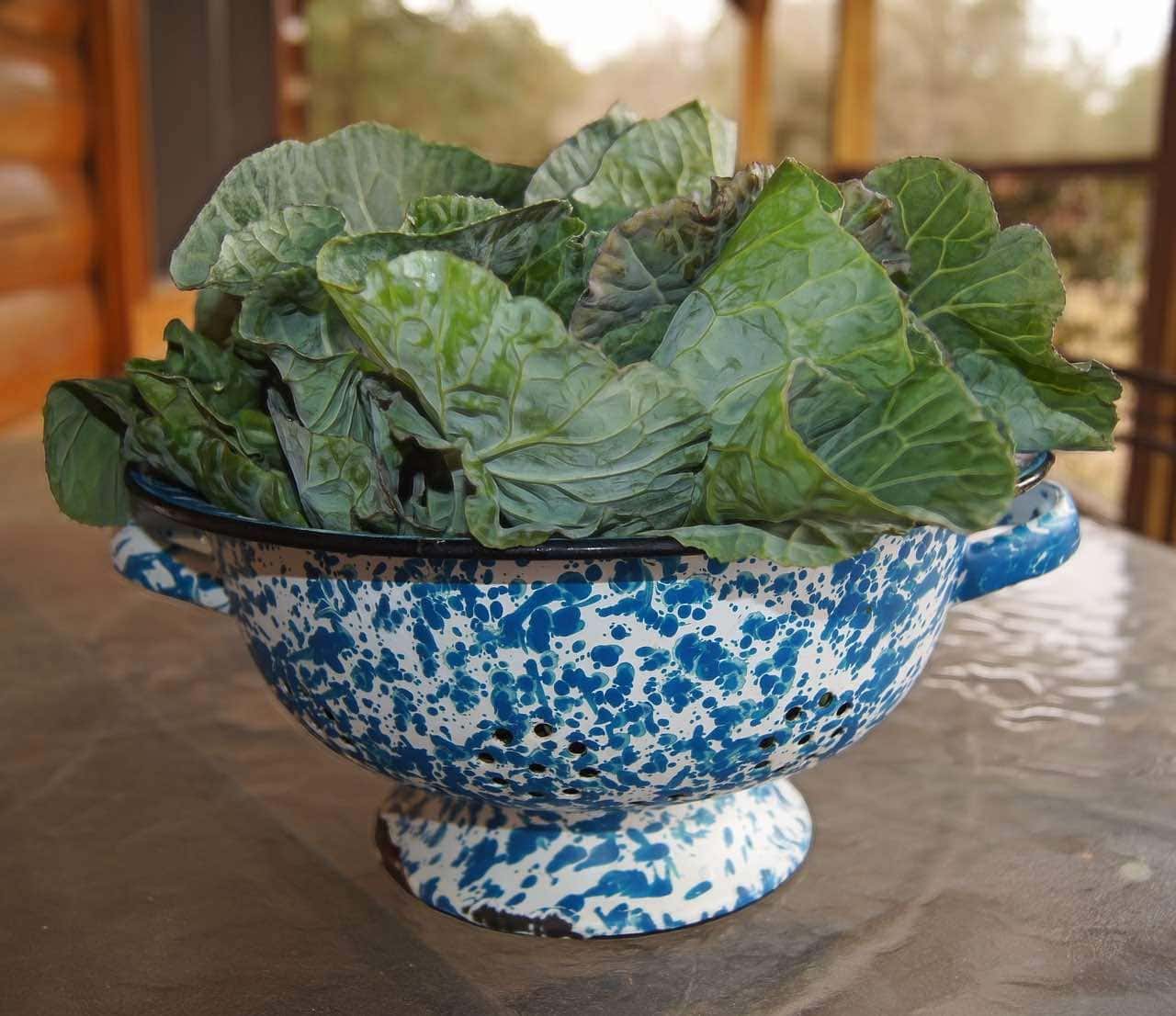 collard greens in bowl