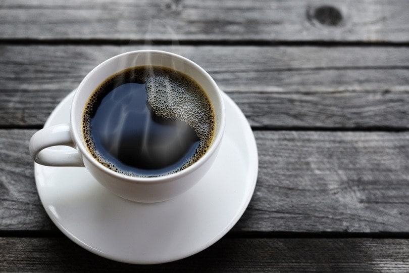 Can Dogs Drink Coffee? Vet-Approved Toxicity Facts & Risks