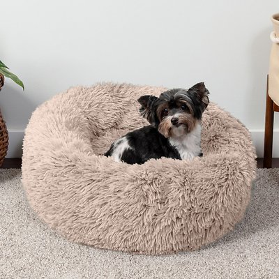 9 Best Calming Dog Beds For Anxious Dogs in 2026: Reviews & Top Picks