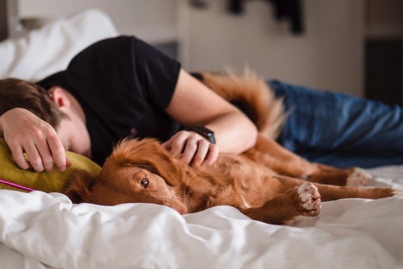 Why Does My Dog Sleep So Close to Me? 4 Reasons & Vet-Approved Tips
