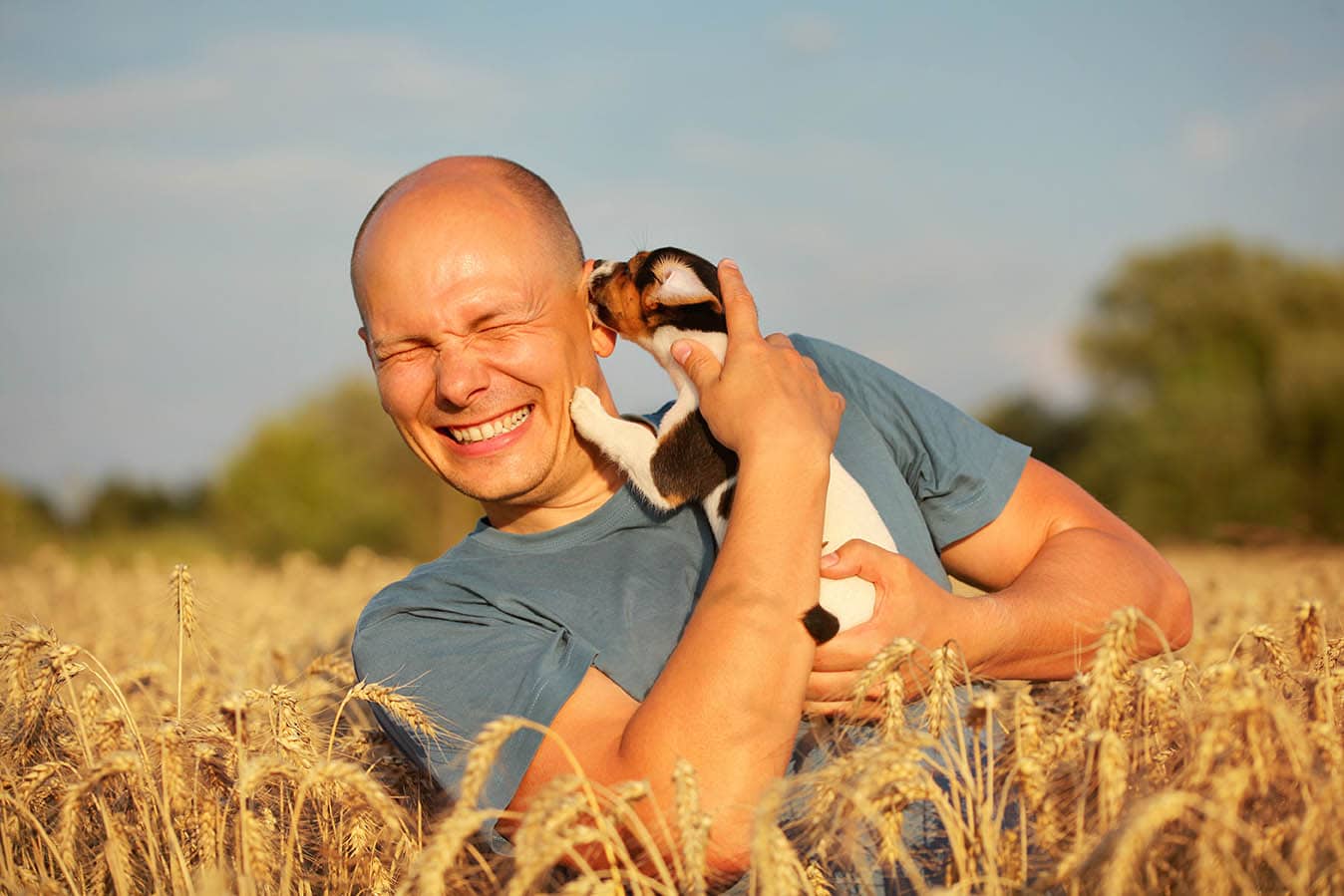 Why Does My Dog Lick My Ears? 6 Vet-Verified Reasons & What to Do