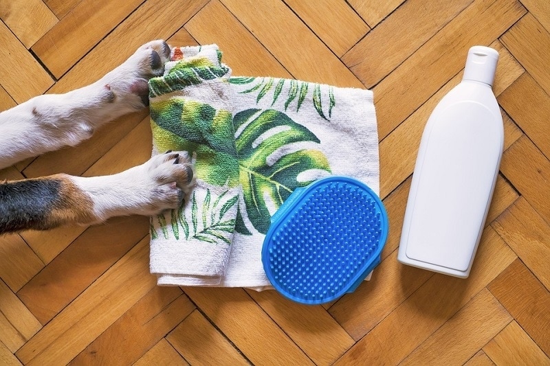 dog shampoo